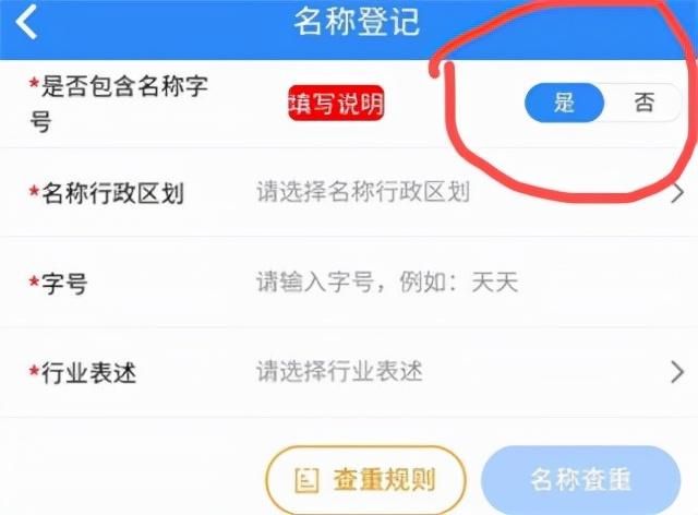 网上申请营业执照下载什么软件(网上申请营业执照网站)