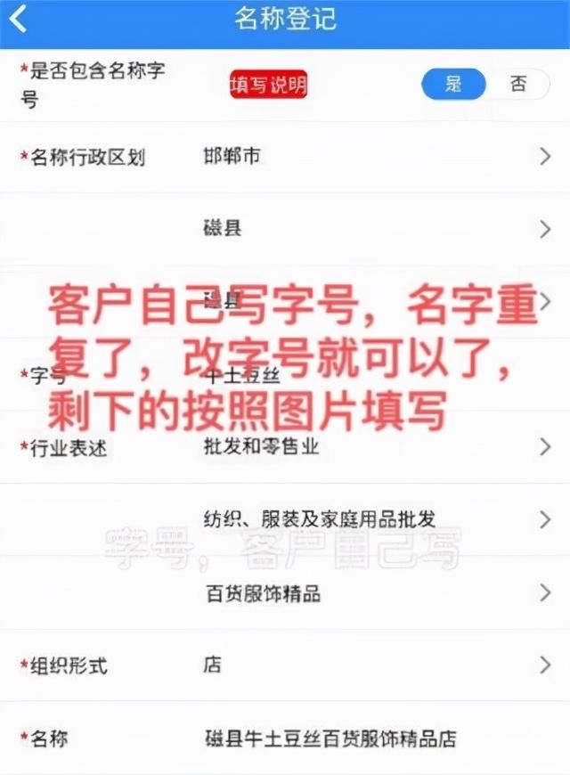 网上申请营业执照下载什么软件(网上申请营业执照网站)