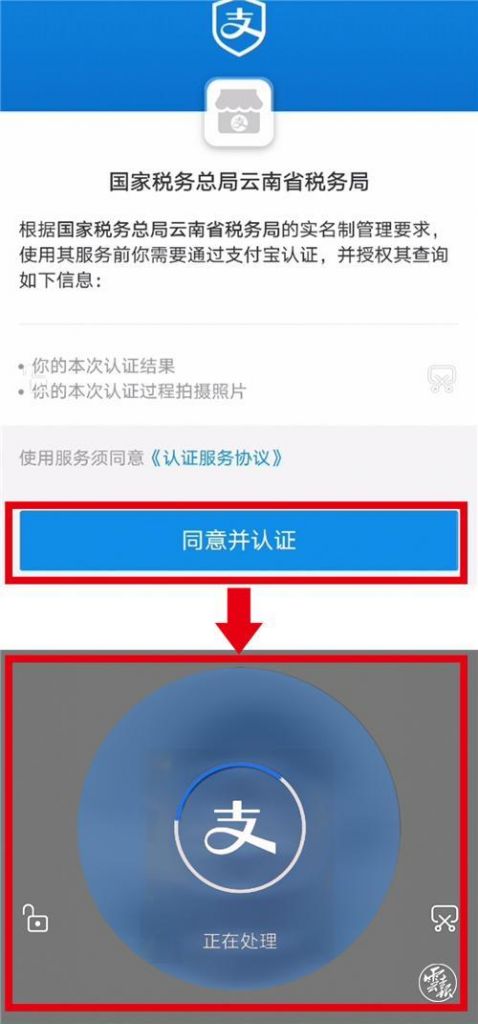 云南省电子税务局app(下载云南电子税务局手机app交费)