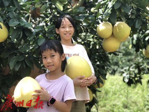 沁柚在哪里(柚在哪里打捞)