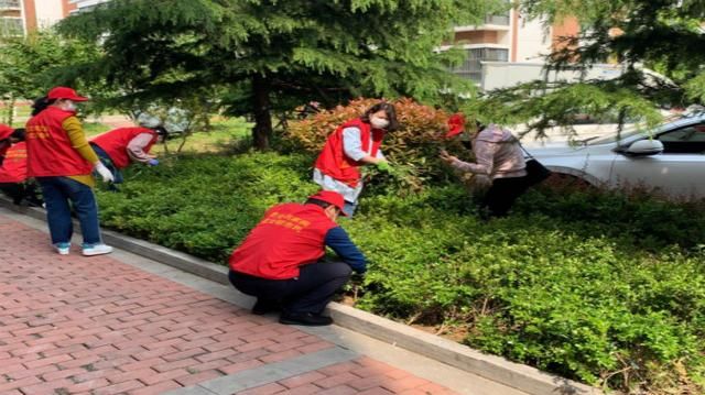 文登柳岸御府在哪里(文登柳岸御府最新房价)