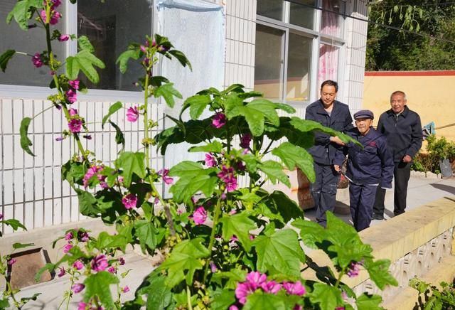 树下翁鞋子在哪(树下翁的鞋子)