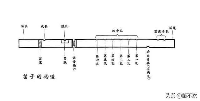 笛子膜贴在哪个孔上(笛子哪个是膜孔)