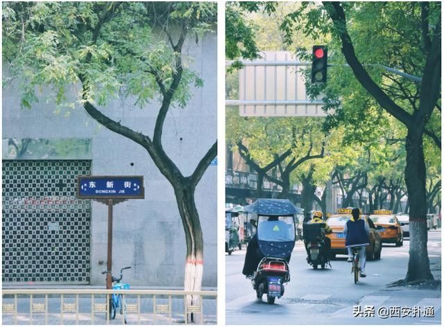 西安东新街夜市在哪里(西安东新街夜市几点营业)