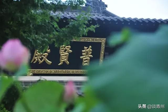 广福寺在哪里(福州广福寺在哪里)