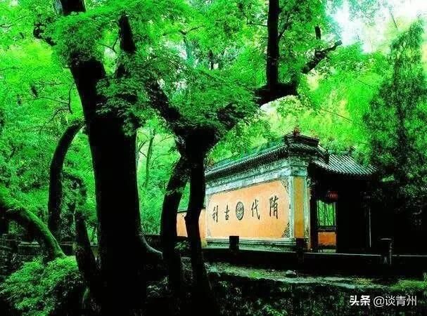 广福寺在哪里(福州广福寺在哪里)