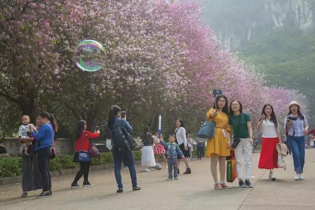 融水花街在哪里(融水花街在哪条路)