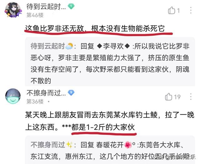 关于福建壮腰在哪的信息