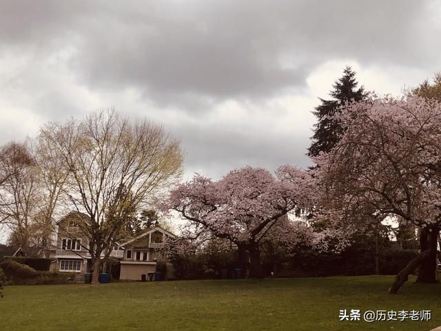 李小龙的坟墓在哪里(李小龙纪念馆在哪里)