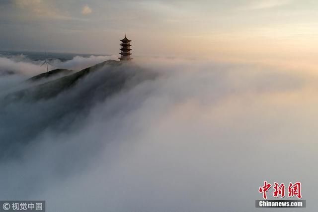 蜂蜜山在哪(蜂蜜山楂的功效)