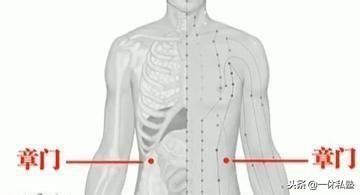 期门穴在哪(期门穴的准确位置图穴位)