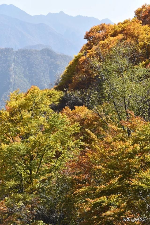 神龙架在哪(神农架在哪里属于哪个省)