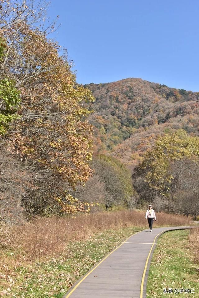 神龙架在哪(神农架在哪里属于哪个省)