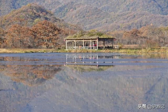 神龙架在哪(神农架在哪里属于哪个省)