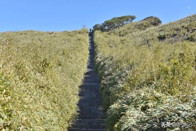 神龙架在哪(神农架在哪里属于哪个省)