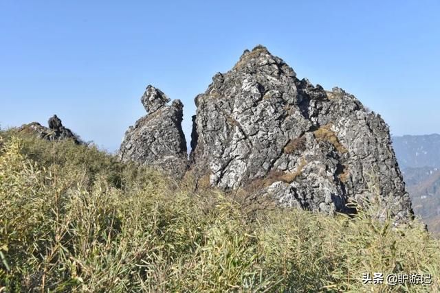 神龙架在哪(神农架在哪里属于哪个省)