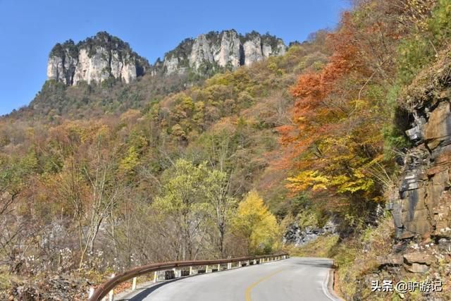 神龙架在哪(神农架在哪里属于哪个省)