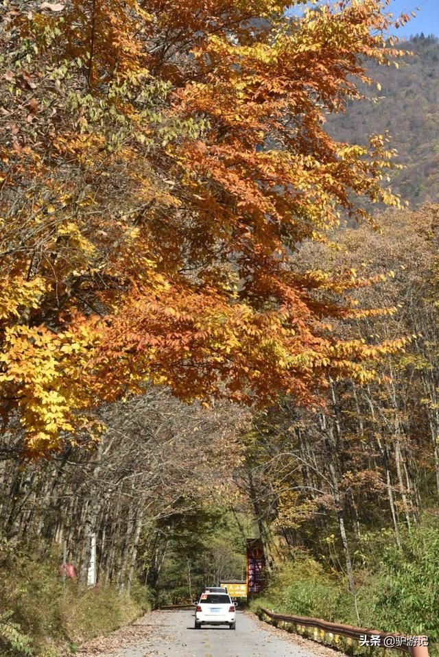 神龙架在哪(神农架在哪里属于哪个省)