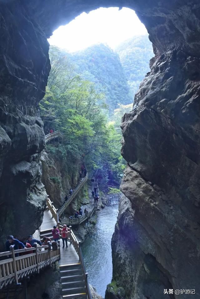 神龙架在哪(神农架在哪里属于哪个省)