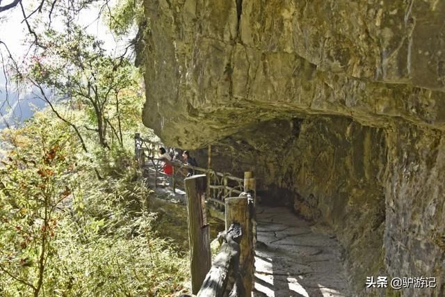 神龙架在哪(神农架在哪里属于哪个省)