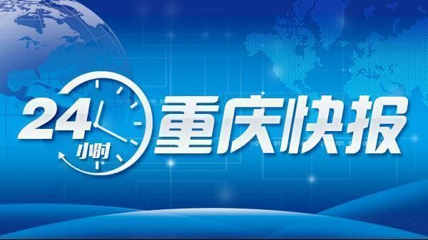 重庆九龙坡政府(重庆市九龙坡区政府采购招投标环节企业诚信综合评价标准)