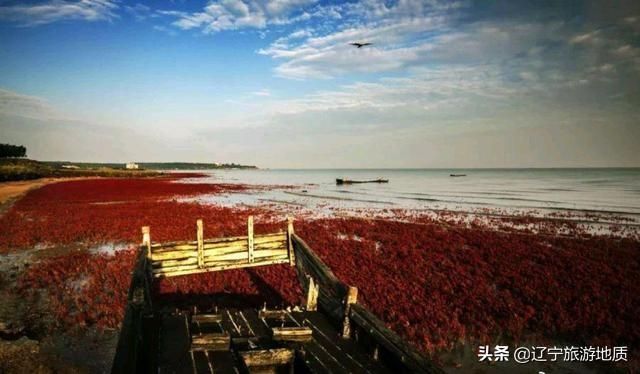 辽宁白沙滩在哪里(珠海白沙滩在哪里)