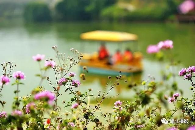 越州天湖在哪里(越州天湖景区)