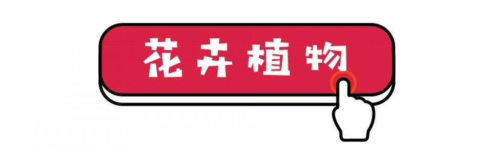 深圳茶叶批发市场在哪里(深圳茶叶批发市场)