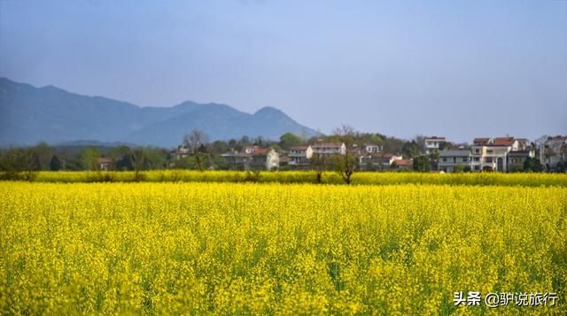 黄陂玫瑰园在哪里(黄陂玫瑰园景区)