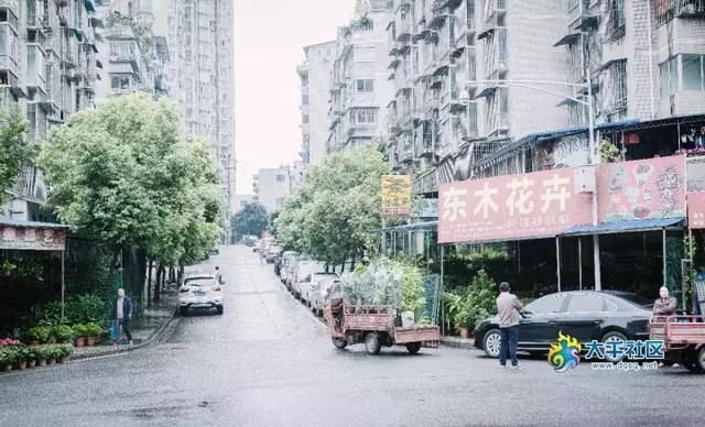 内江花鸟市场在哪里(内江大佛寺花鸟市场)