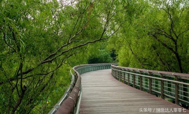 济南泉城公园在哪(济南泉城公园冰雪世界)