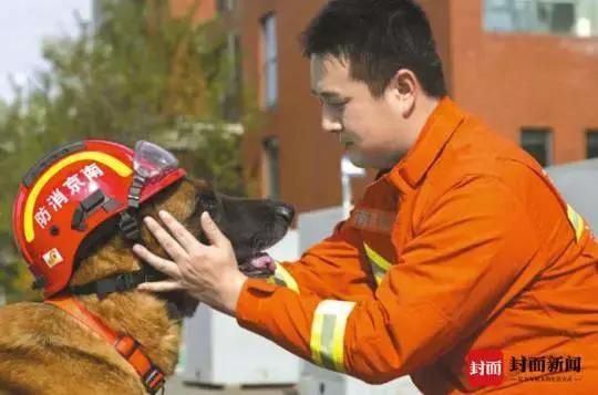 包含淮安犬舍在哪的词条