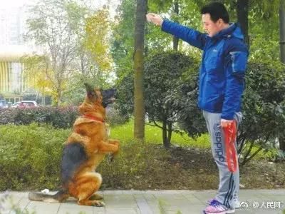 包含淮安犬舍在哪的词条