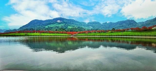 鲜花岛在哪里(鲜花培训在哪里学)