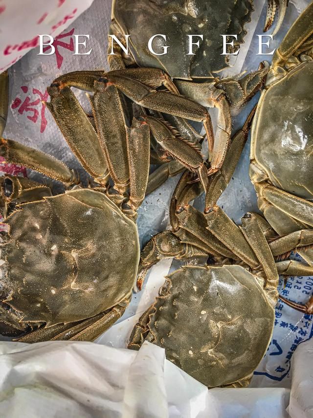 石家庄水鲜城在哪里(石家庄水箱生产厂家)