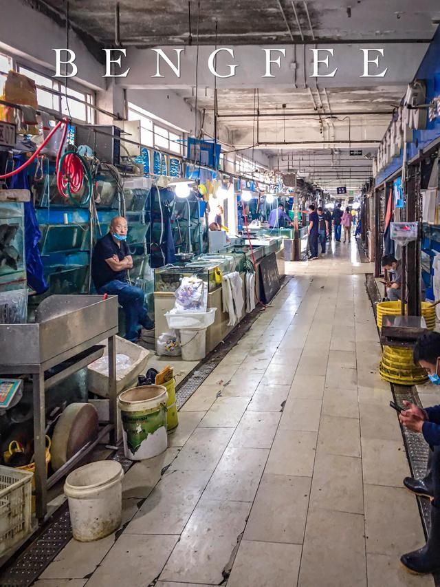 石家庄水鲜城在哪里(石家庄水箱生产厂家)