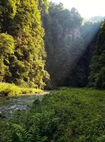 蚂蟥沟在哪里(蚂蟥沟大峡谷在哪里)