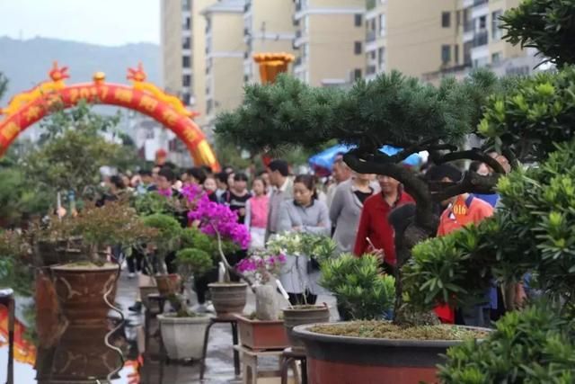 今年腾冲花街在哪里(保山今年花街在哪里赶)