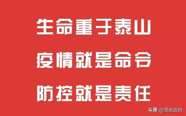 关于高州市梁逸峰的信息