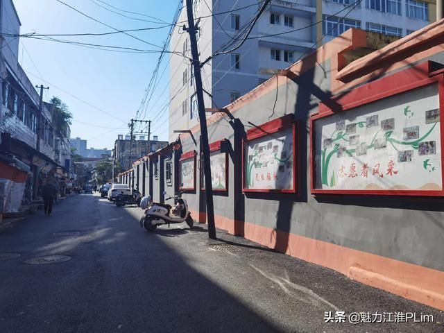 碧荷庭在哪(碧荷亭)