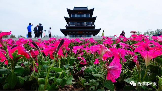 西宁西门在哪(西宁西门体育馆)