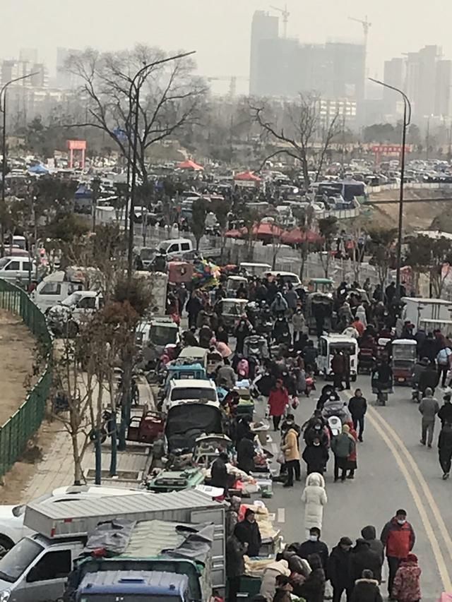 太和狗市场在哪(太和猫狗市场)