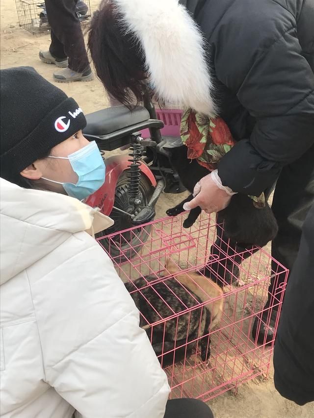 太和狗市场在哪(太和猫狗市场)