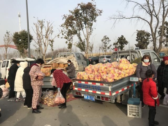 太和狗市场在哪(太和猫狗市场)