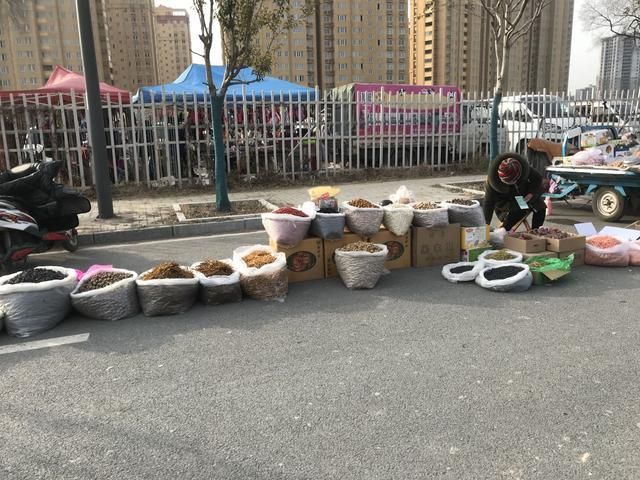 太和狗市场在哪(太和猫狗市场)