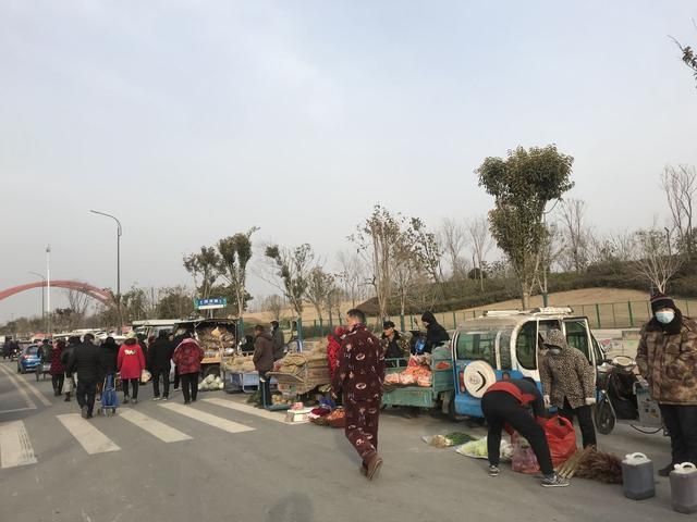 太和狗市场在哪(太和猫狗市场)