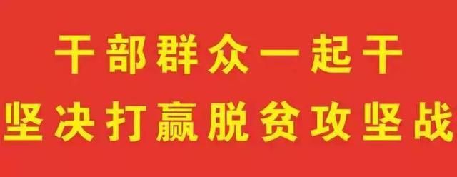 云南网上办理营业执照怎么办(云南营业执照网上办理入口)