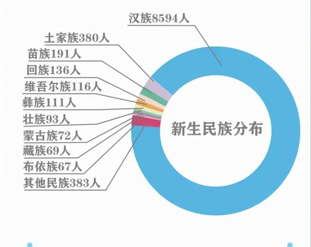 重庆市杨家坪中学招生办电话(重庆市杨家坪中学电话)