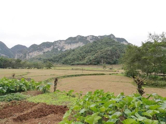 坝美在哪(坝美在哪里市县景区)