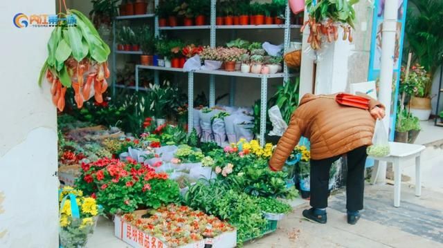 花都卖狗的市场在哪里(花都雅瑶市场有卖狗)